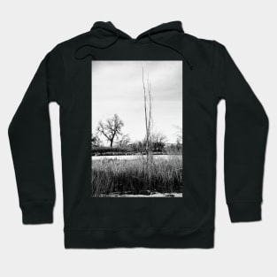 Cherry Creek Winter Study 1 Hoodie